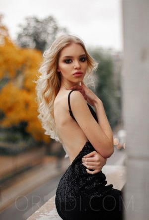 Shiri - photo