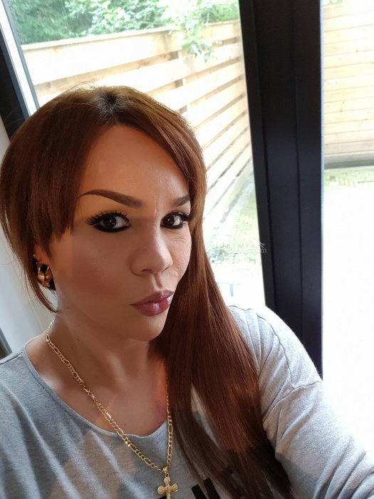 Sylvana Trans - foto 10