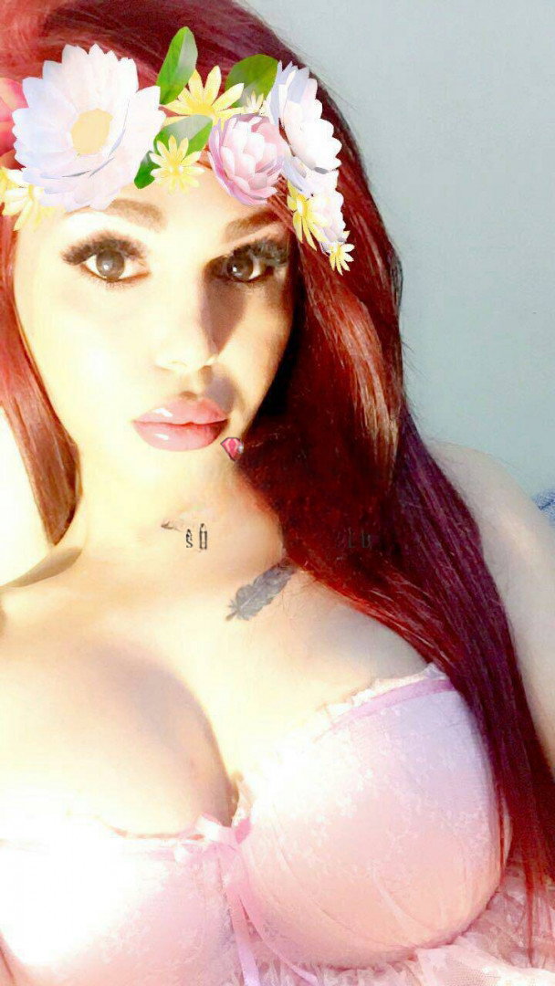 Maya Arabic - foto 8