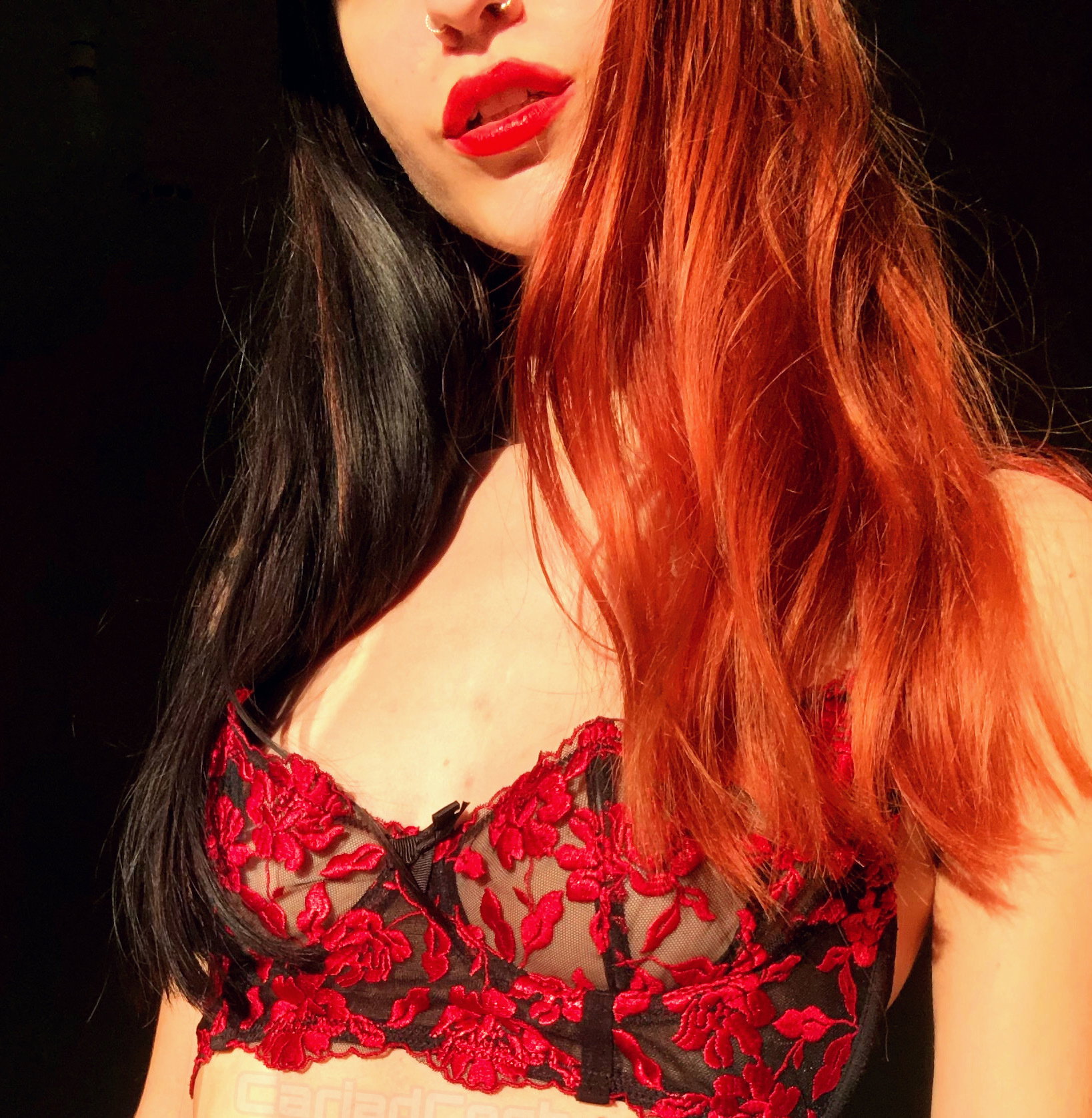 Amelia - photo