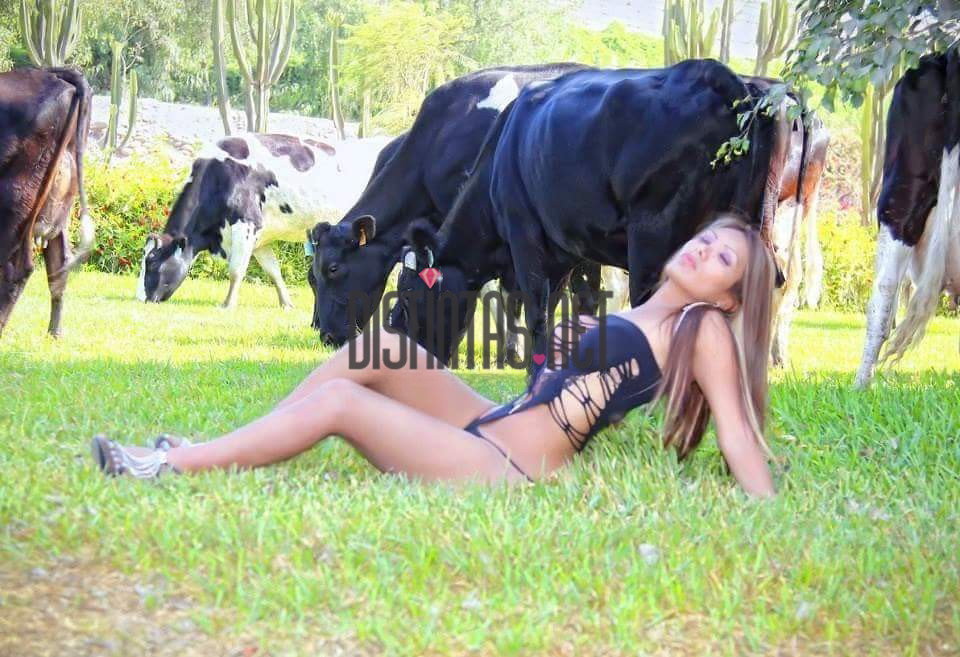 Katalina Top - photo 10