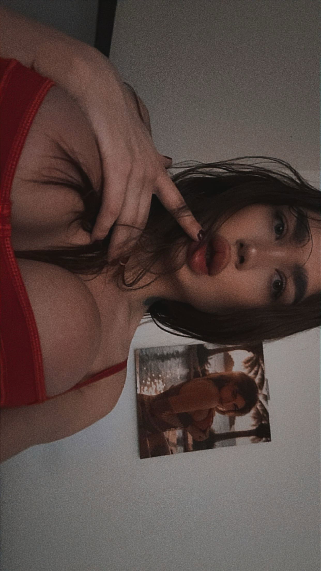 Bella - foto 3