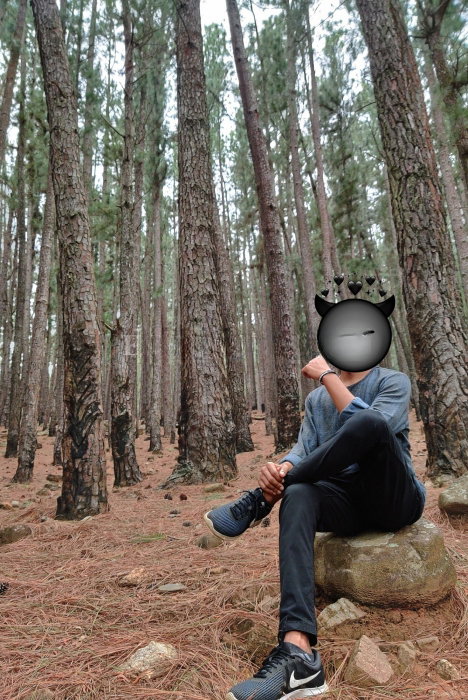 King Josh - photo 4
