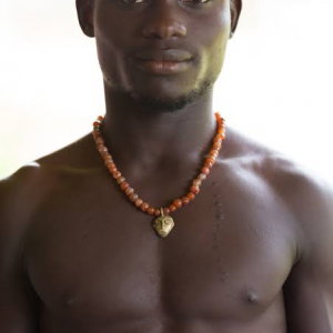 Will - foto 3