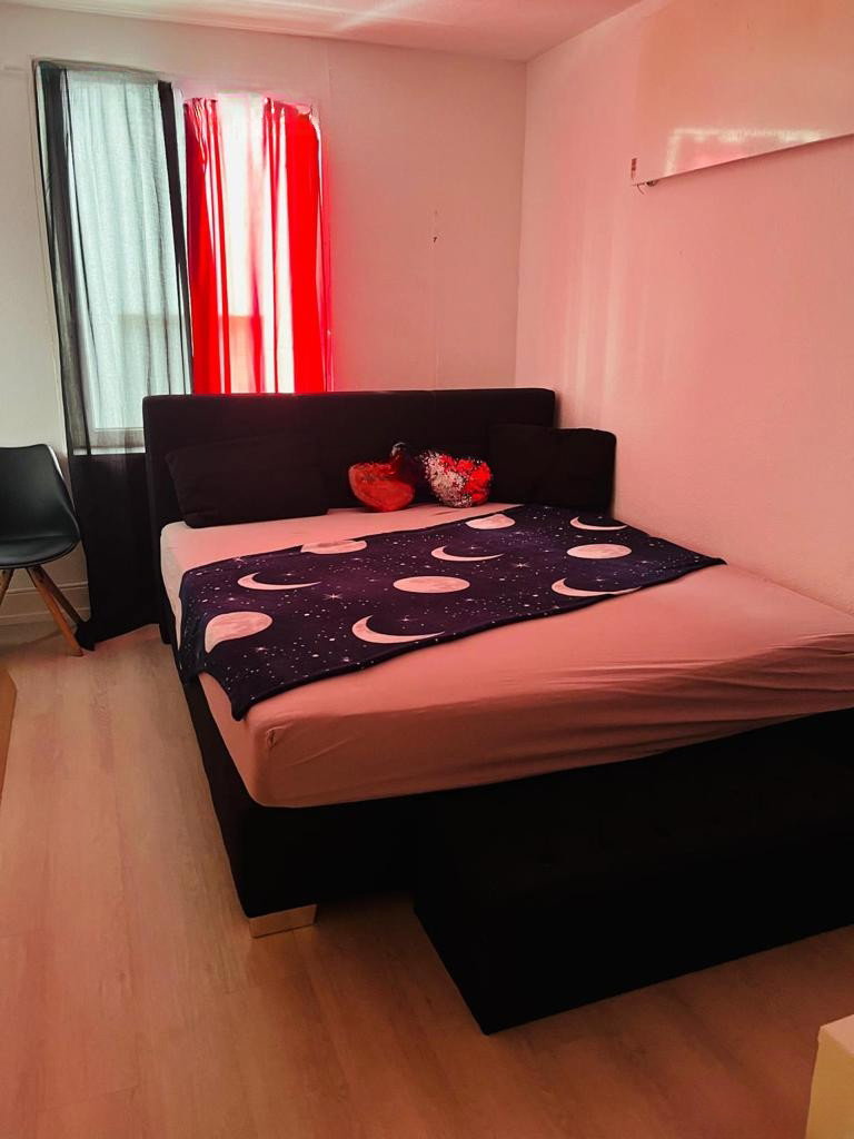Neu In Basel Bewilligte Zimmer Zum Vermitten - photo