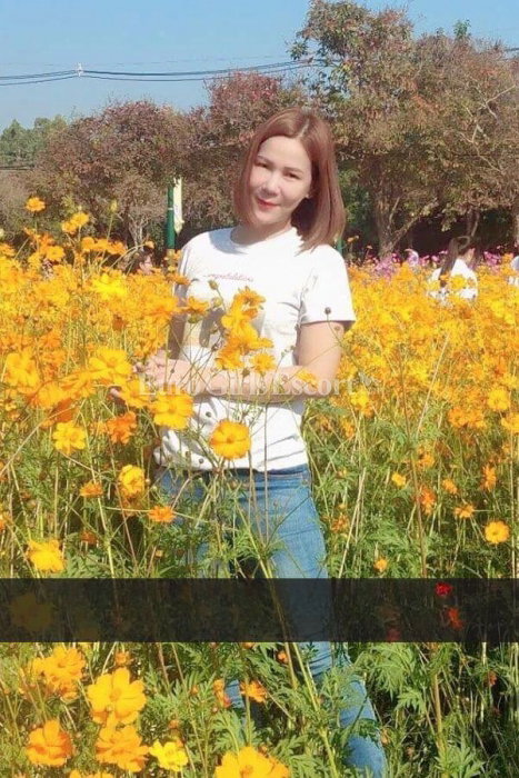 Peemai - foto 2