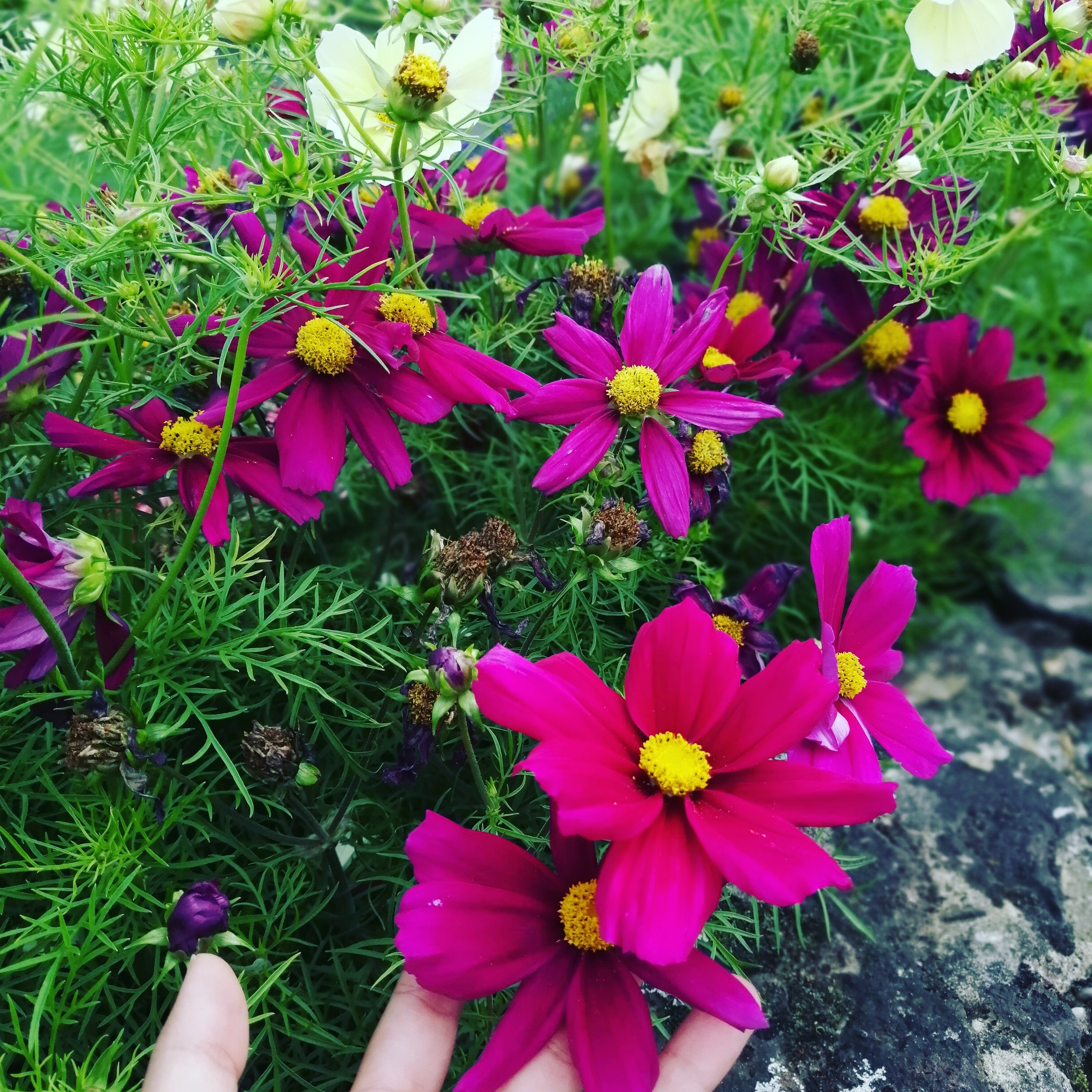 Clairexsandys - photo