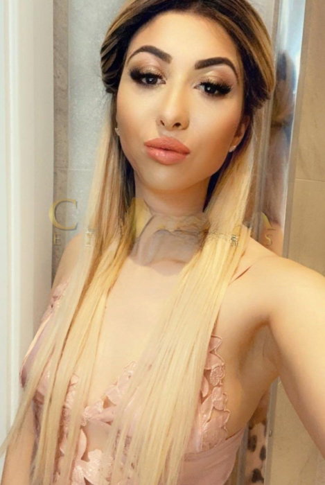 Olive - foto 2