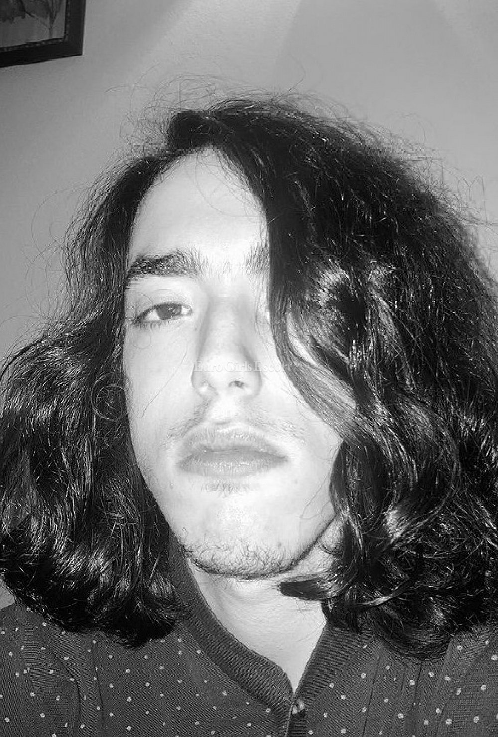 Pedro - photo