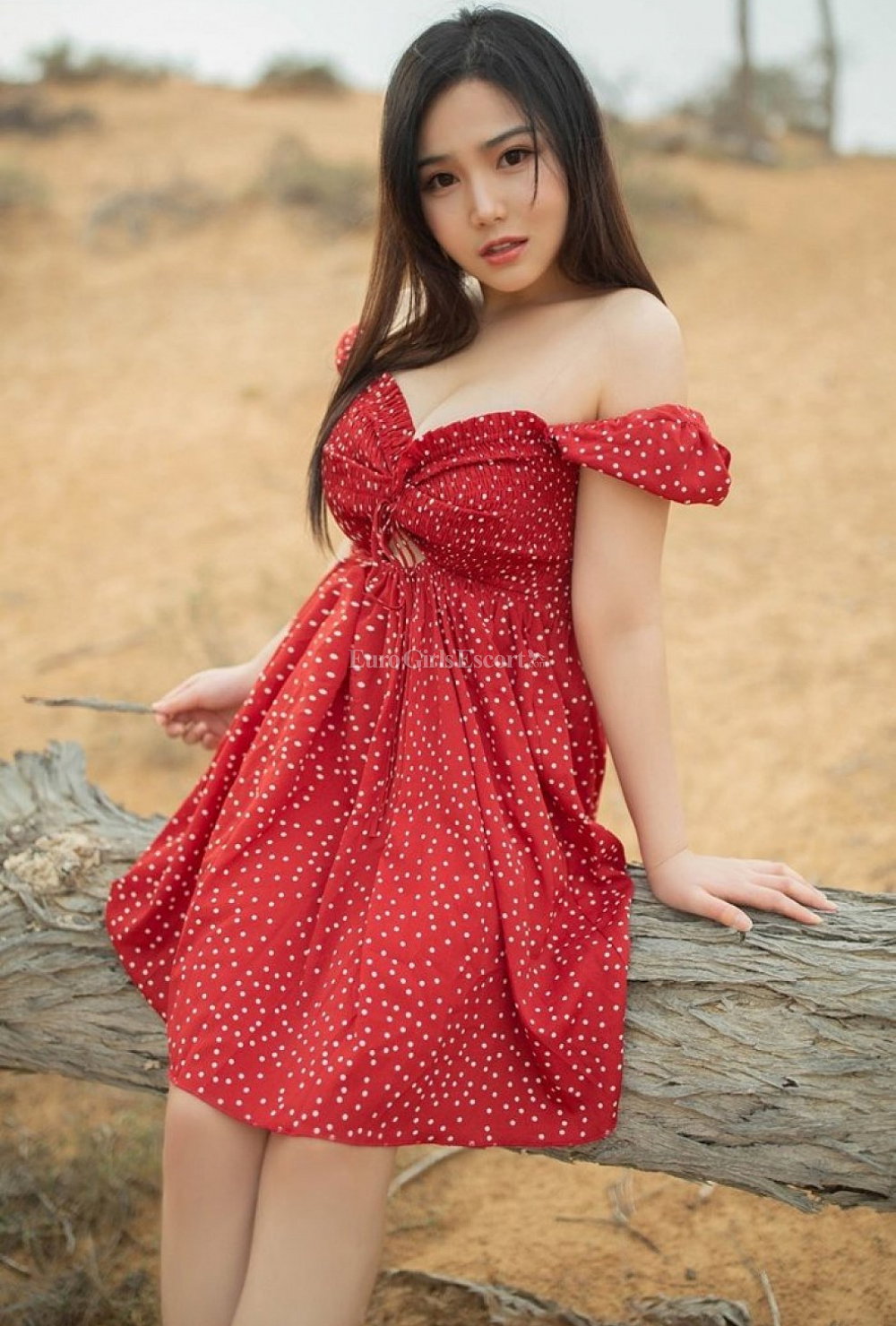 Belle - photo