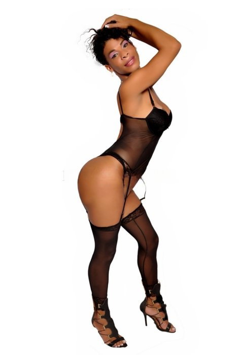 Alana Trans - foto 9