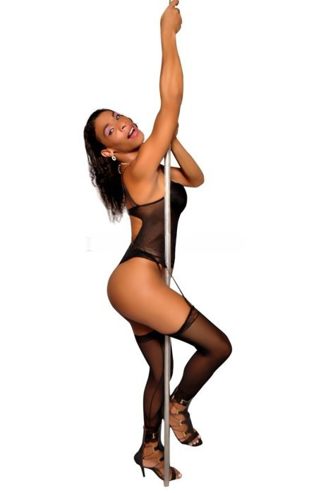 Alana Trans - foto 5