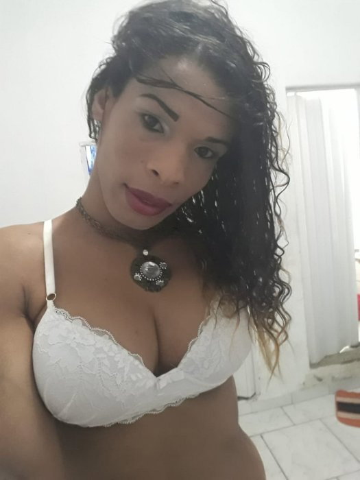 Alana Trans - foto 4