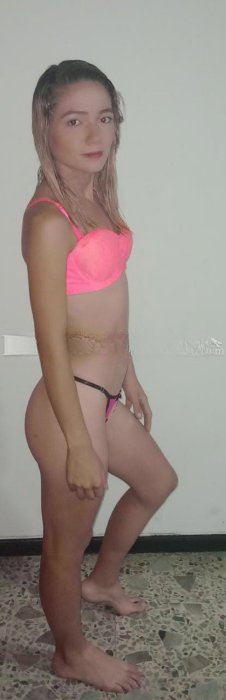 Michel - photo