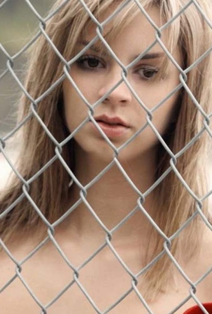 Phoebe - photo 8