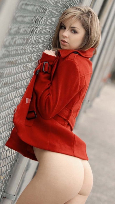 Phoebe - photo 11